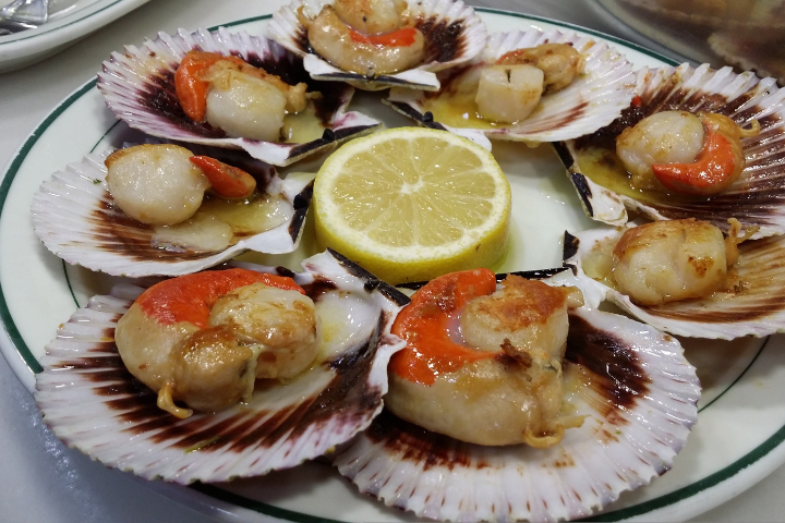 Florida Scallop, Music, & Arts Festival 2026 Event